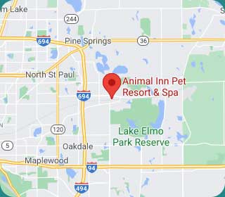 Animal Inn Pet Resort | Pet Boarding, Daycare, Training, Lake Elmo, MN