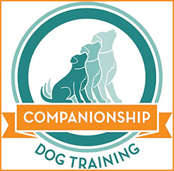 Dog Training - Animal Inn Pet Resort